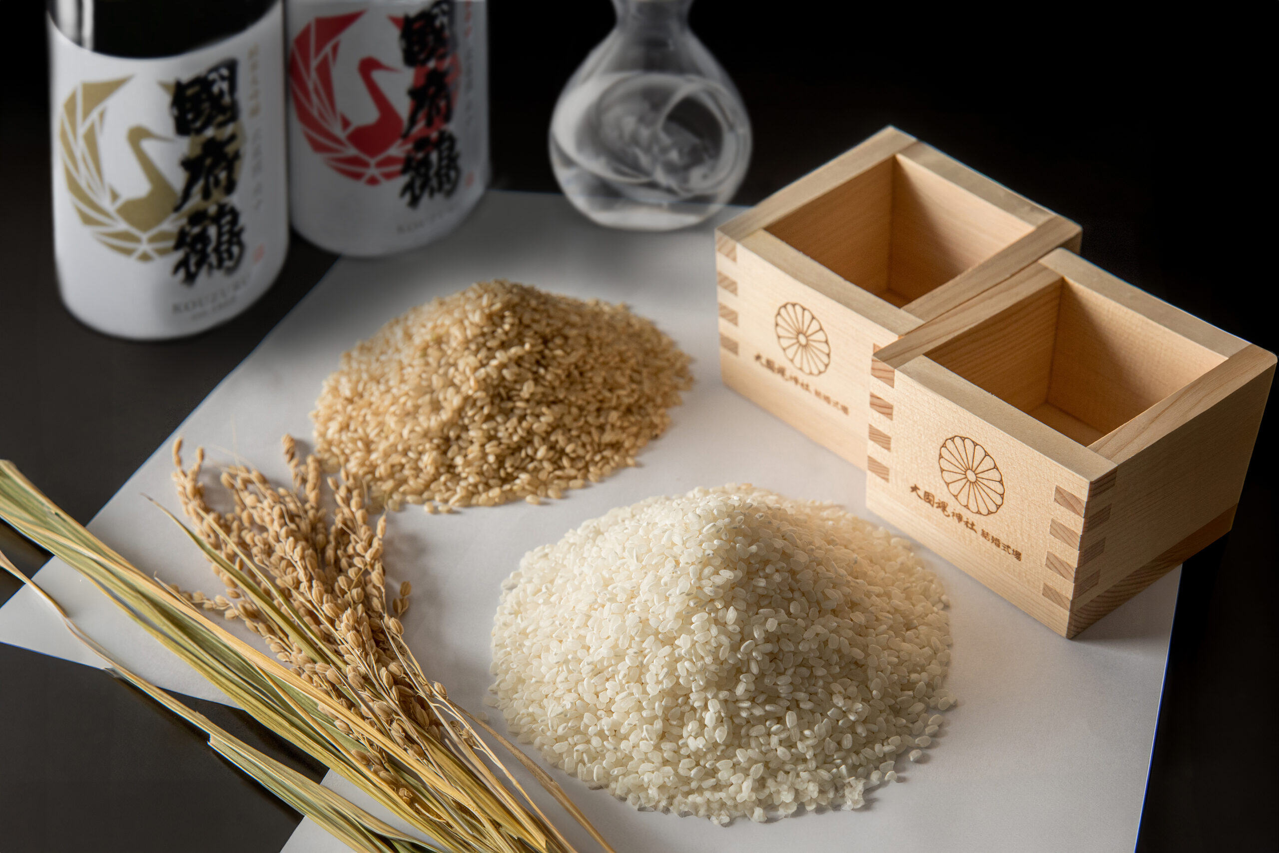 洋装人前式　イメージ